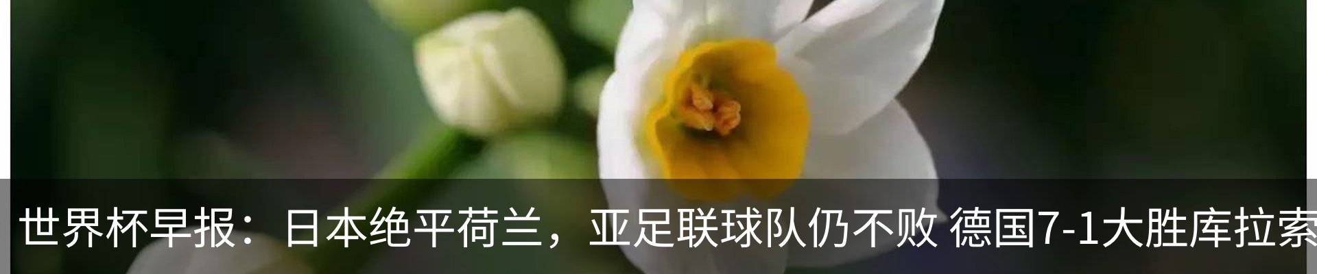 内页banner
